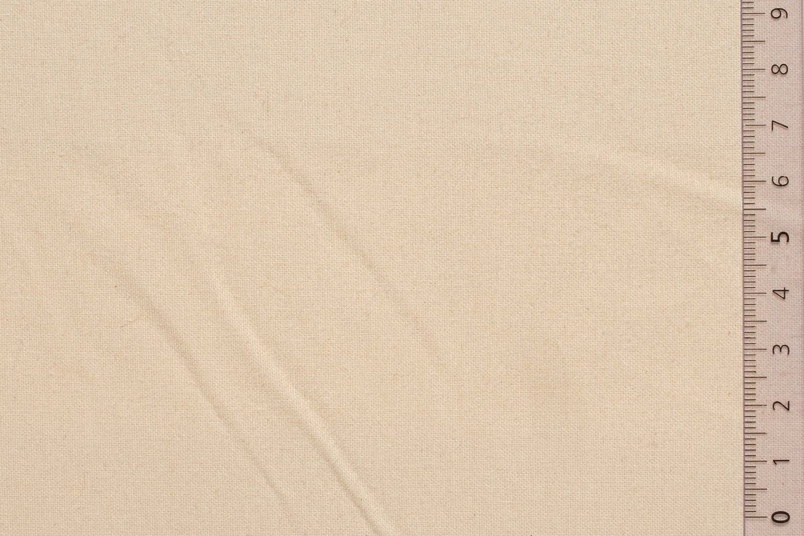 08KABVAR000ECRxxxCOT[CABOT HEAVY] (ECRU)F